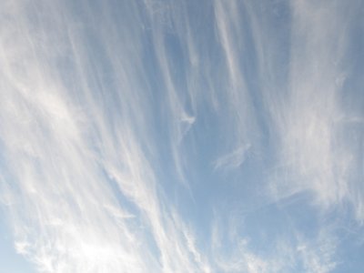 De soie ou de coton_4390328698_l.jpg